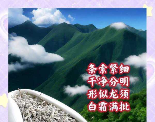 张家界莓茶真的有那么多功效吗?
