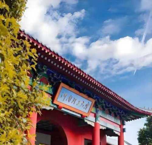 河南理工大在哪个城市