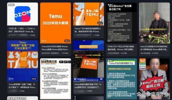 关于temu什么时候上线的的信息