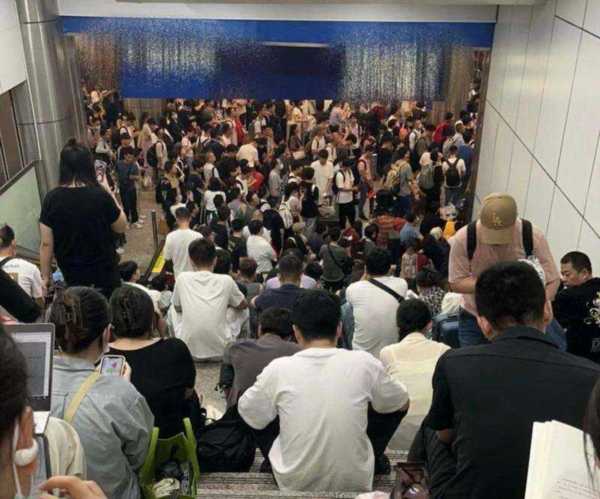 就业率下降的专业
