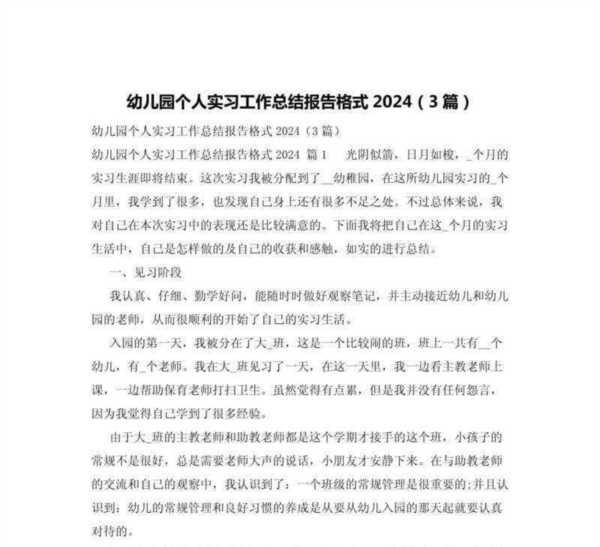 2024幼儿园资助工作总结