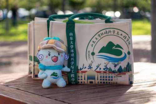 山东大学材料学院官网