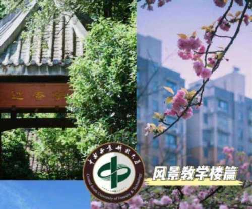 中南林业科技大学学报影响因子
