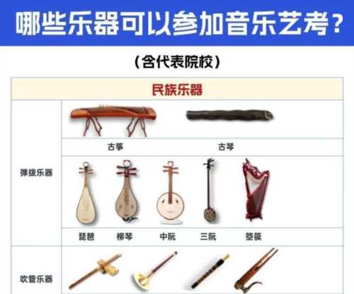 高考艺术类专业有哪些项目乐器
