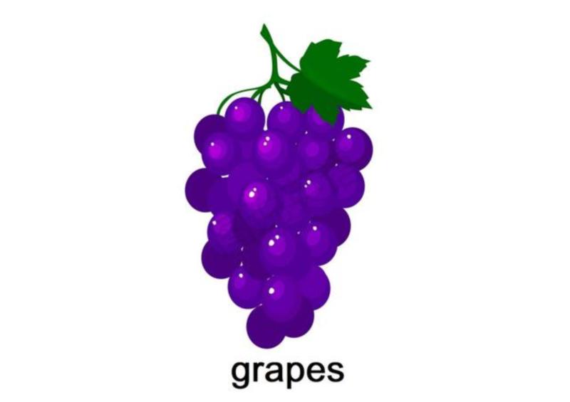 葡萄的英文单词怎么读?怎么写?