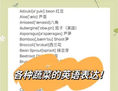 十种蔬菜的英语单词怎么写的