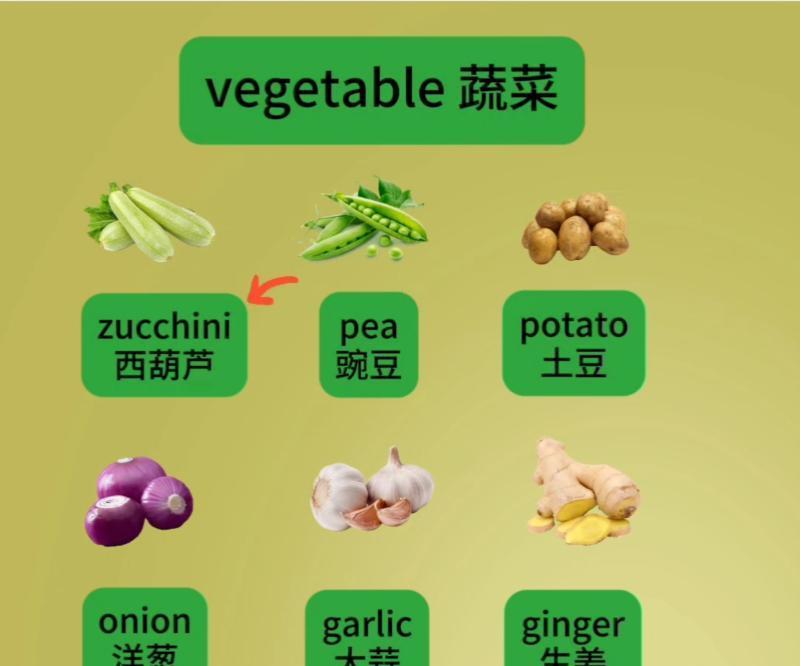 关于蔬菜的英语单词有哪些带翻译