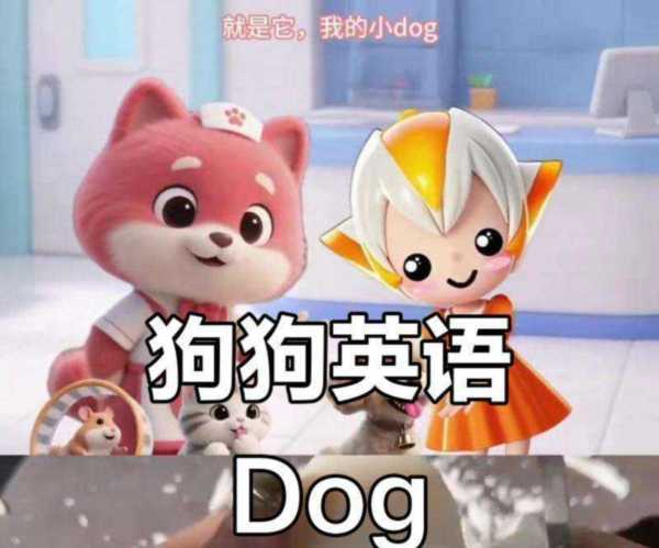 狗狗的英文名字大全