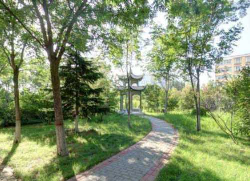 运城护理职业学院单招专业有哪些