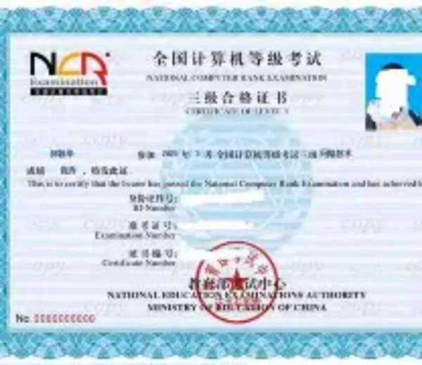 全国计算机应用水平考试证书属于什么等级
