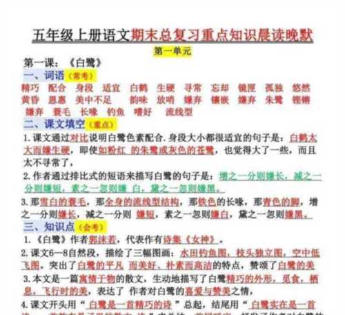 小学语文重要知识点和必考题