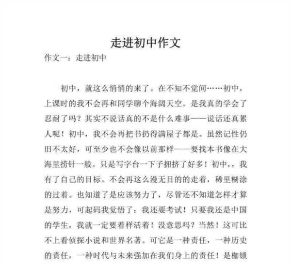 初中语文教育教学随笔大全