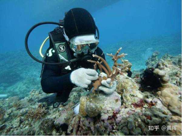 科学家在南极洲的海底钻探揭晓了数千万年