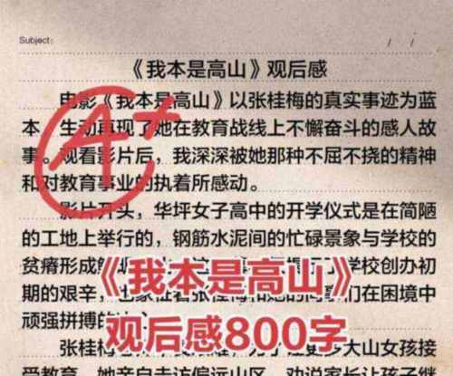 电影大学观后感800字左右