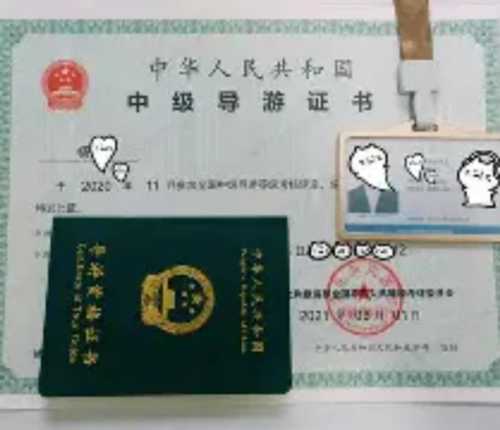 导游证分几个等级