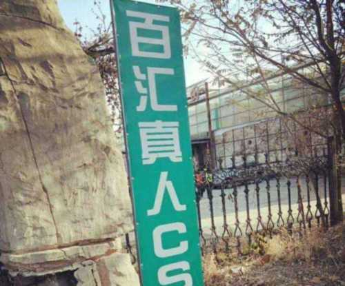 拓展培训教官主要是做什么