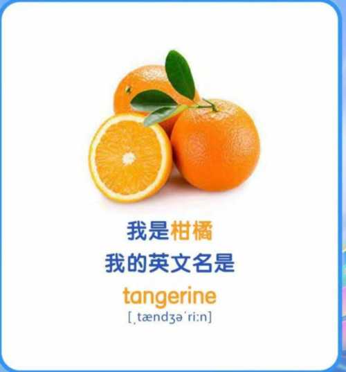 橘色用英文怎么读?