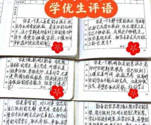 小学生作文评语集锦100条