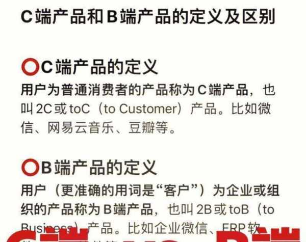 organiser是什么意思啊