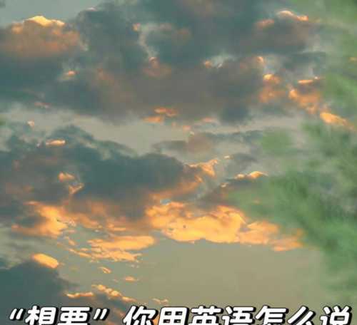 说的英语怎么说的英文翻译