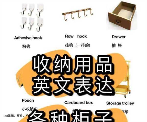 organization的英文怎么读