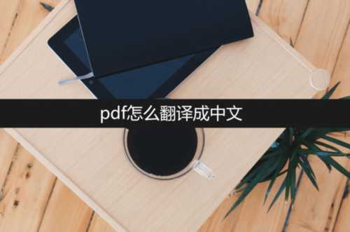 palmetto plus翻译成中文