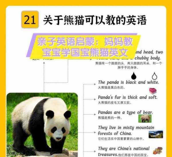 熊猫英文翻译是什么意思怎么写