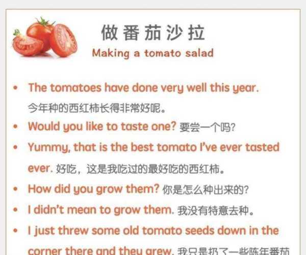 我想要一份沙拉用英语怎么说?