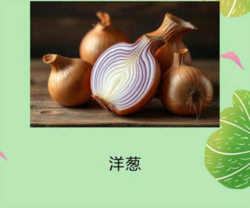 洋葱这个英语单词怎么读
