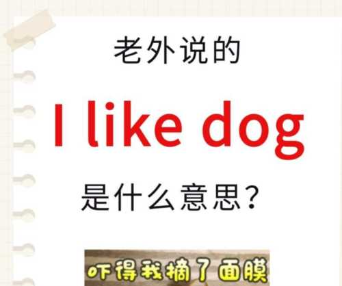 狗用英语怎么说读音
