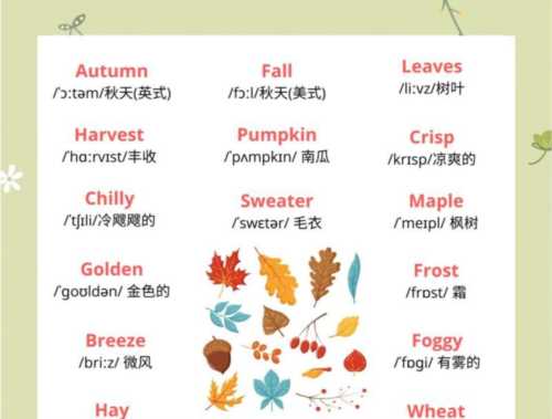 秋千的英语单词是什么?