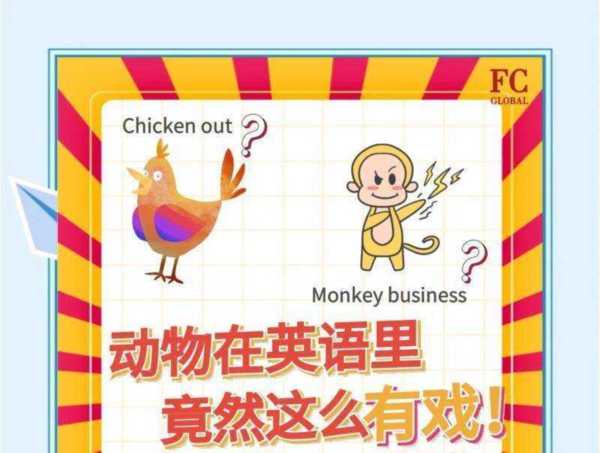 狸猫英文为什么叫dragonli