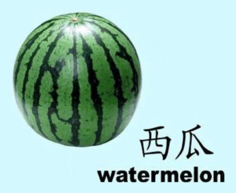 包含西瓜英语怎么读watermelon谐音的词条