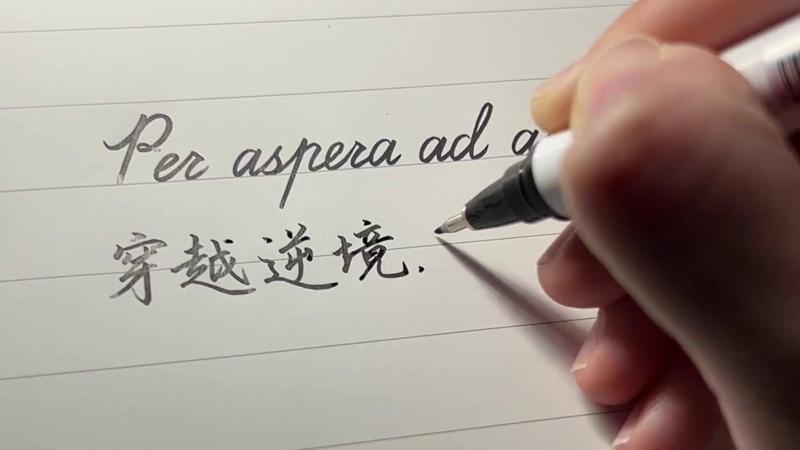 关于pertinacious常用例句的信息