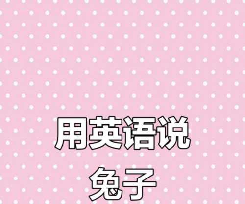 兔子的英语要怎么写单词呢