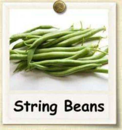 beans英语怎么读什么意思