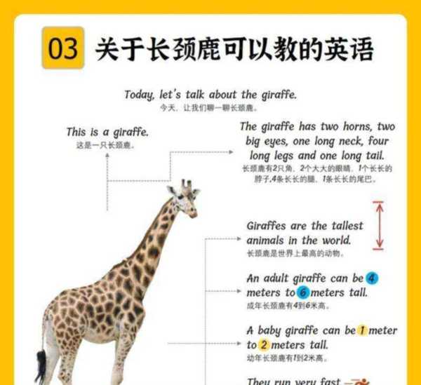 长颈鹿的英语的英语怎么说