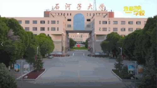 石河子大学外国语学院院长