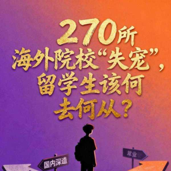 在国外非法滞留回国有什么影响