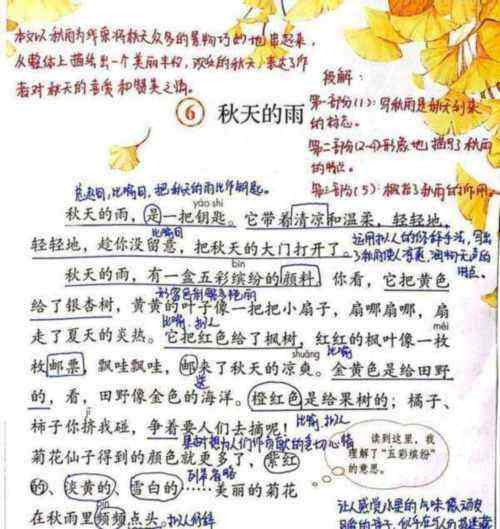小学语文秋天的雨课文朗读