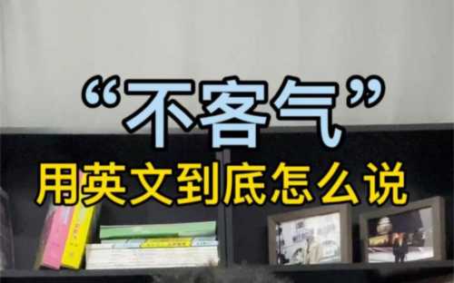 不用客气用英语怎么说口语翻译