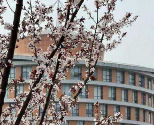无锡大学是一本还是二本