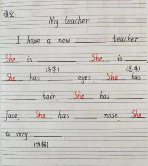 什么英语怎么说的