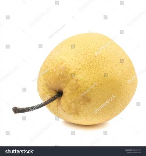 梨子的英语单词怎么拼读