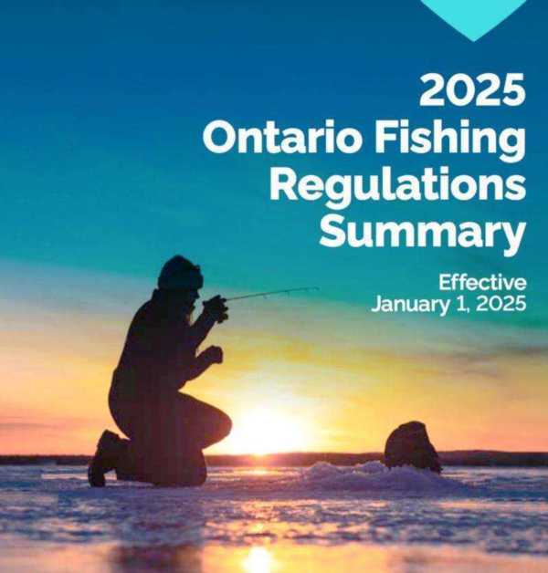 英语钓鱼的单词怎么写