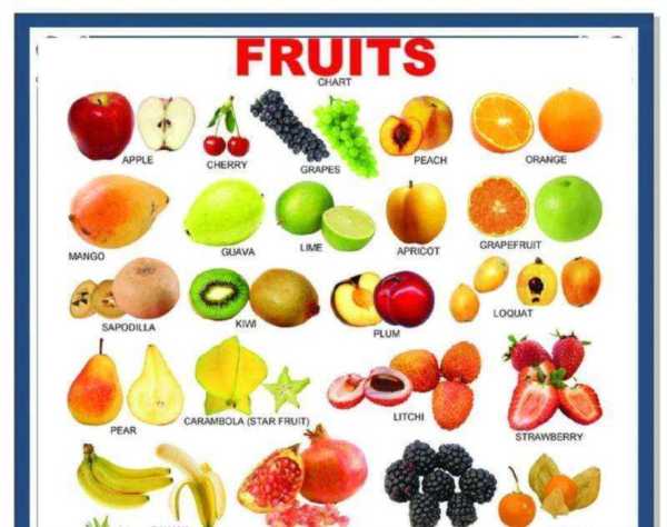 蔬菜的英语该怎么写