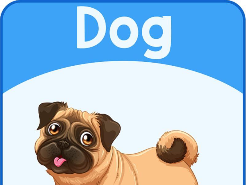 狗的英语单词怎么读dog