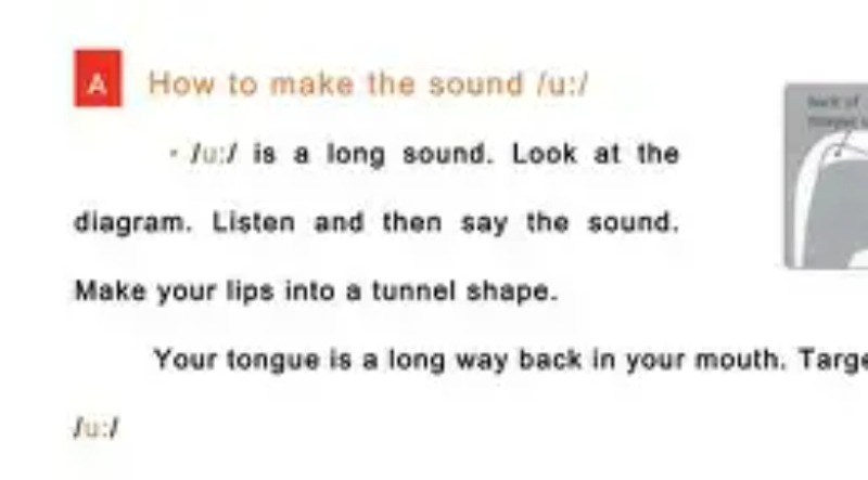 biscuits读音发音