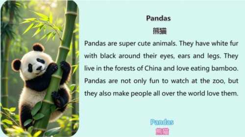 的英语单词怎么读足够的熊猫的英文