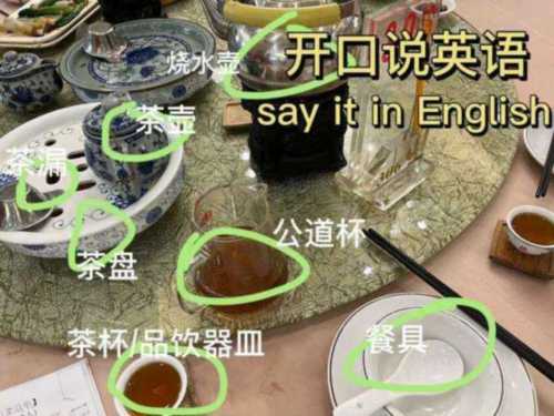 早茶英语音标